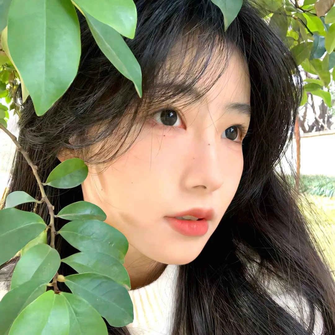 是风动、是心动